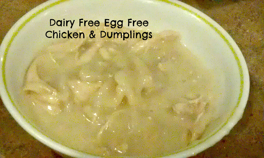 Dairy Free Egg Free Chicken & Dumplings